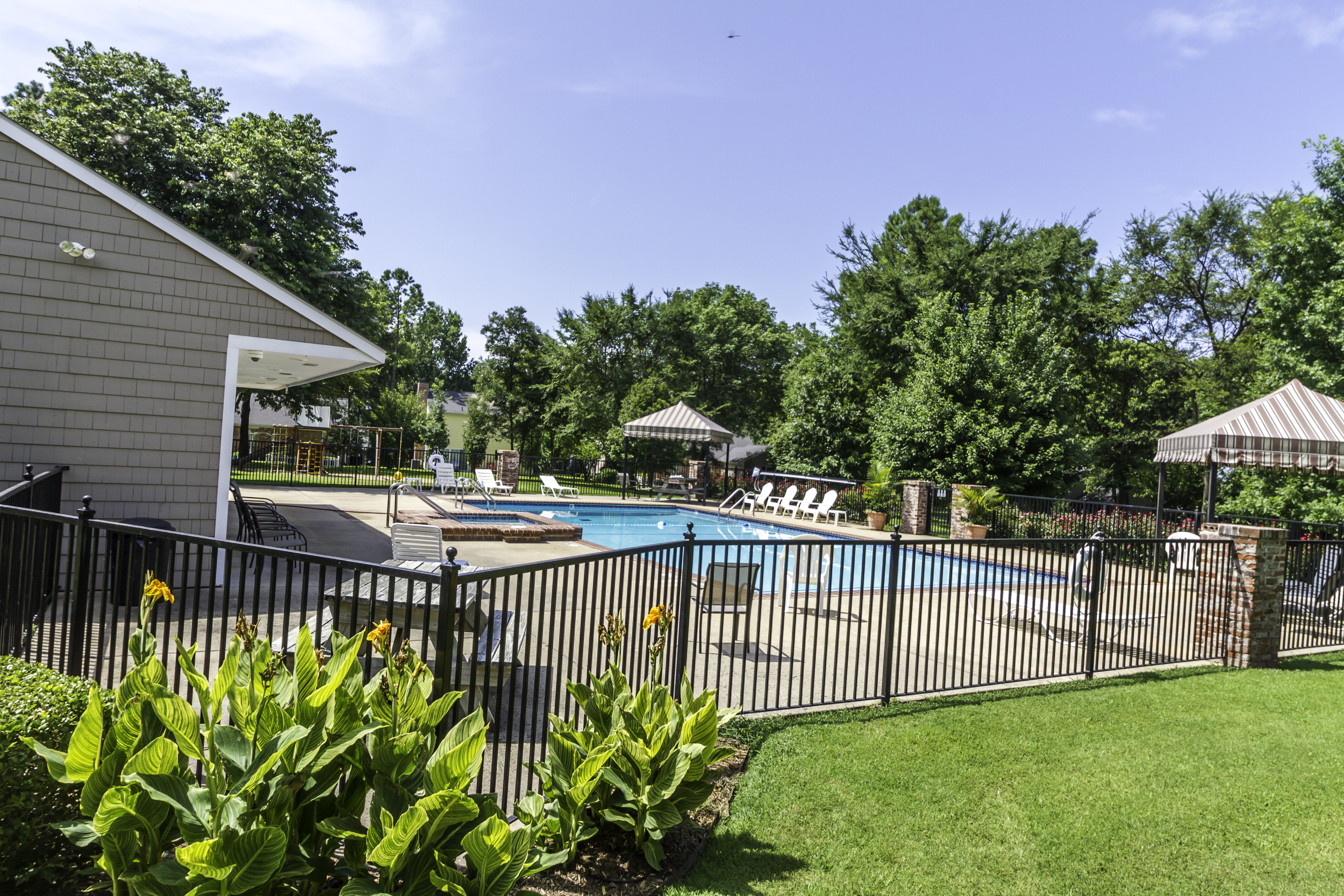 St. James Club Community Pool Monkey Island